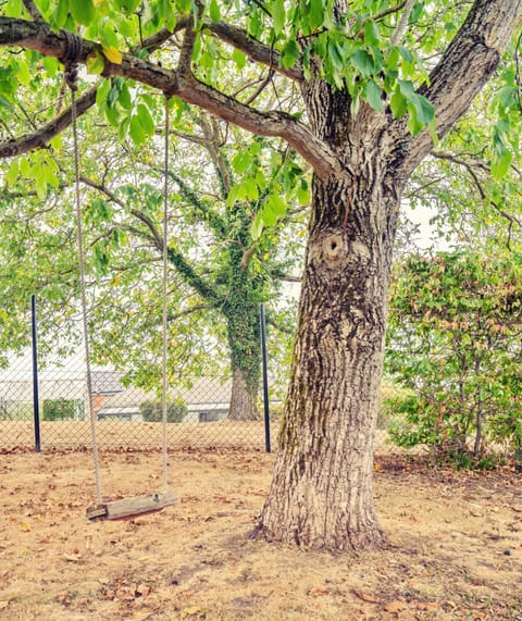 Gîte du Volcan House in Wallonia, Belgium