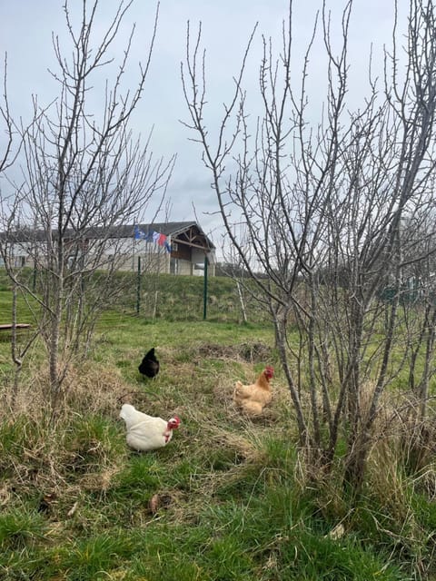 american house Apartment in Saarland, 66, Germany