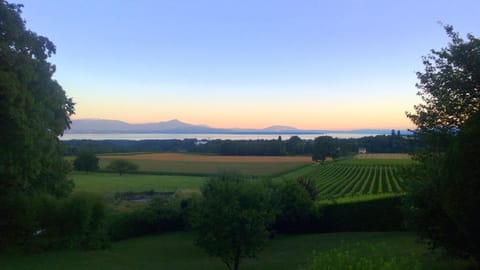 Lake view