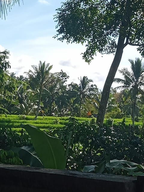 Day, Natural landscape