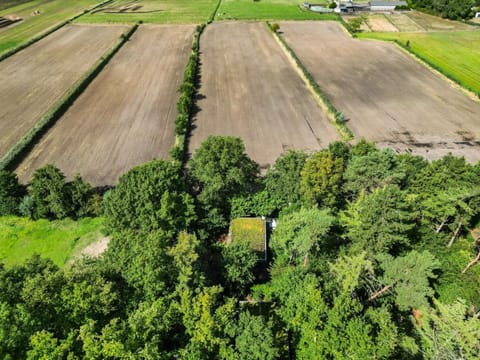 Day, Natural landscape, Bird's eye view