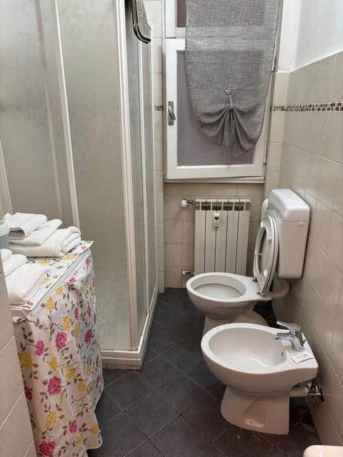 Shower, Toilet, Bathroom, towels