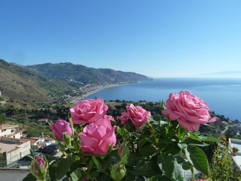 Spring, Natural landscape, Mountain view, Sea view