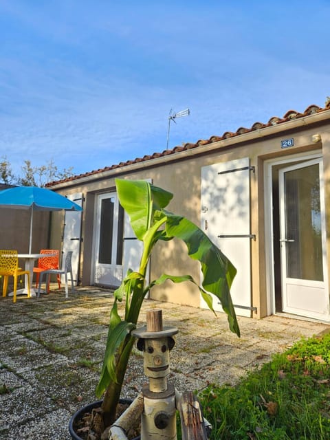 Patio, Spring, Day, Garden, Garden view