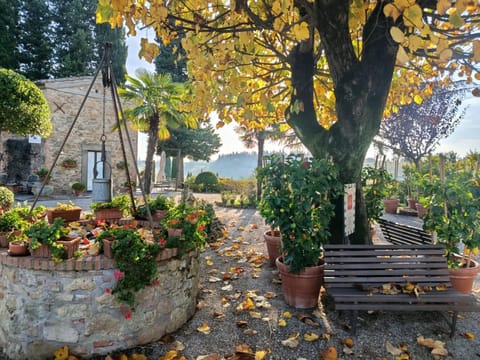Il Casale Del Cotone Country House in Tuscany