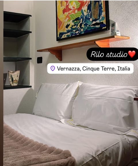 Centralissimo, RILO Studio Apartment in Vernazza