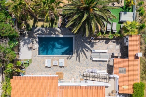 Garden, Swimming pool