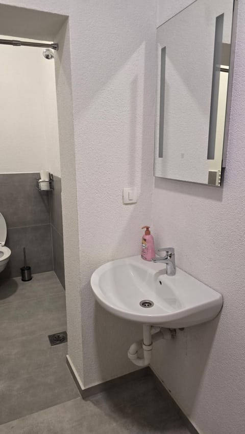 Apartmaji Despotoski Mojstrana Apartment in Carinthia, Austria