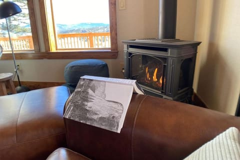 Secluded Modern Cabin On 10 Acres Tarryall Creek Cabin in Park County