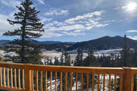 Secluded Modern Cabin On 10 Acres Tarryall Creek Cabin in Park County