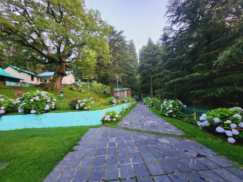 Nearby landmark, Neighbourhood, Other