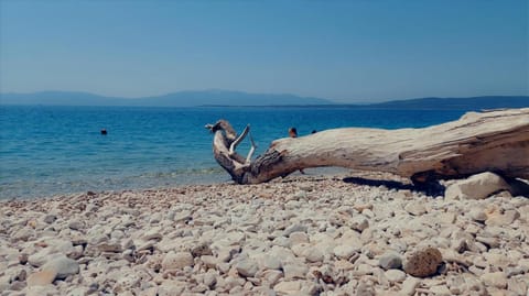 Karavan AIDA Campground/ 
RV Resort in Dubrovnik-Neretva County