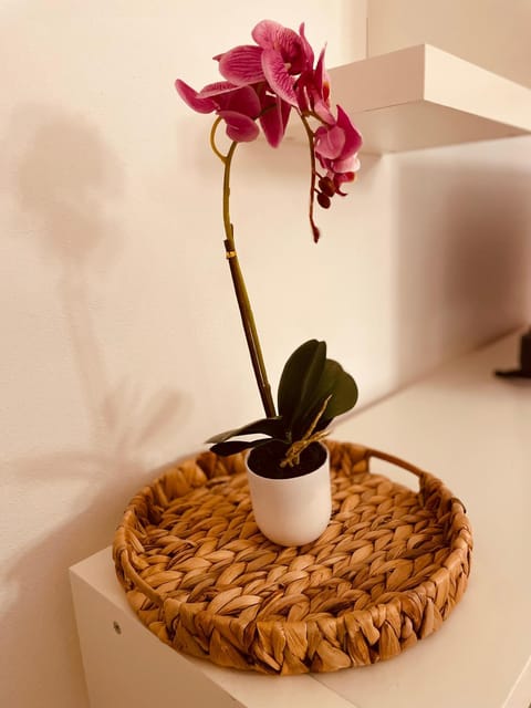 CarLuccia Apartment Apartment in Lucca