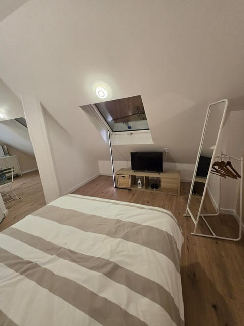 Combles dans le quartier de la gare de Strasbourg Apartment in Strasbourg