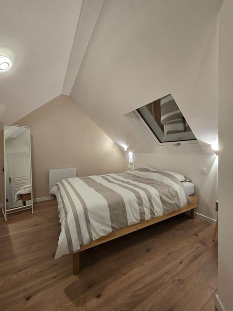 Combles dans le quartier de la gare de Strasbourg Apartment in Strasbourg