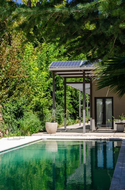 Garden, Swimming pool, Swimming pool