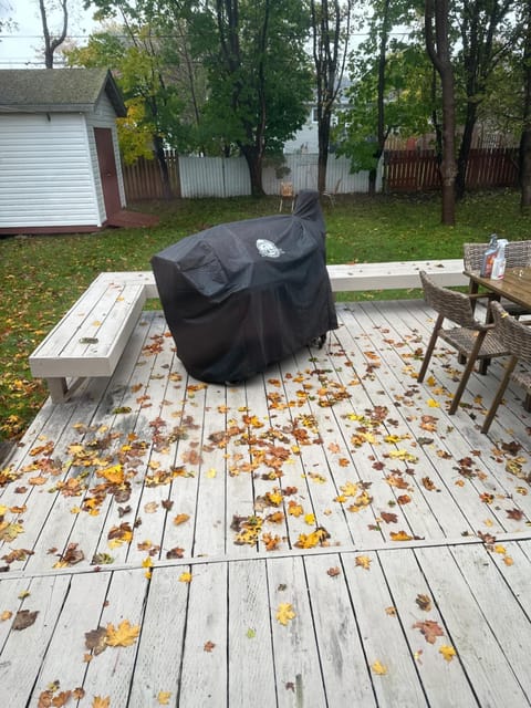 Patio, Day, Garden, Seating area, Dining area, Garden view