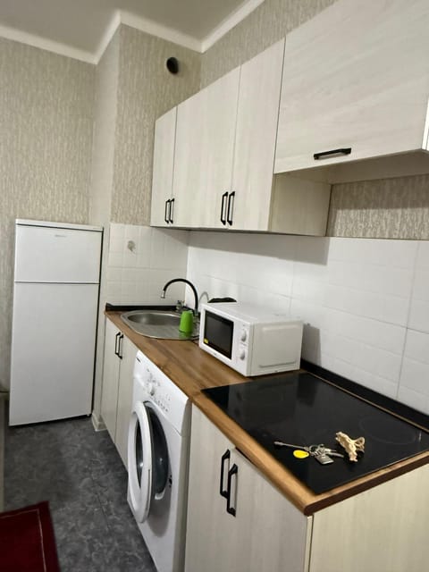 Kitchen or kitchenette, dishwasher, minibar, oven, pet friendly, stove, toaster, washing machine, dryer