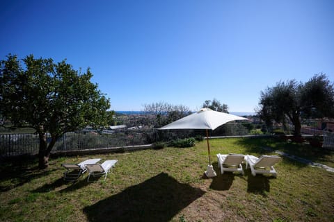 Day, Garden, Garden view