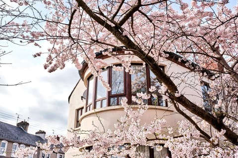 Exclusive Offers l Last-Minute Stay l Sleeps Up to 6 l Conveniently located near town Centre l restaurants l and local attractions l It offers easy access to the stunning Causeway Coast l Coleraine Hideout l WeStayBelfast Apartment in Coleraine