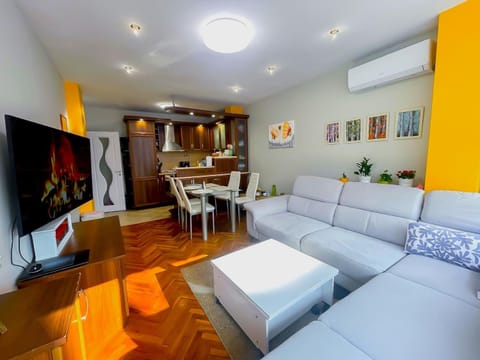 Communal lounge/ TV room, Living room, Seating area, Dining area, air conditioner