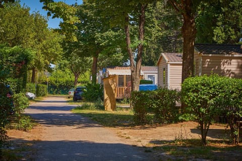 Natural landscape, Garden