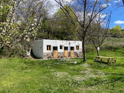 Property building, Day, Garden, Garden view
