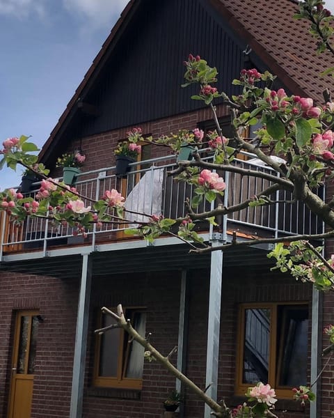 Ferienwohnung Kalle Apartment in Schleswig-Holstein