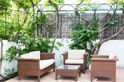 Garden, Garden view
