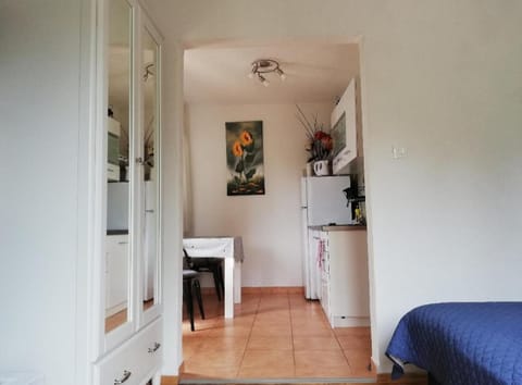 Lino Apartments Apartment in Rovinj