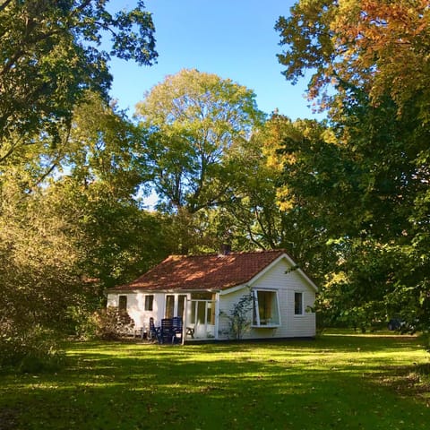 Property building, Garden, Garden