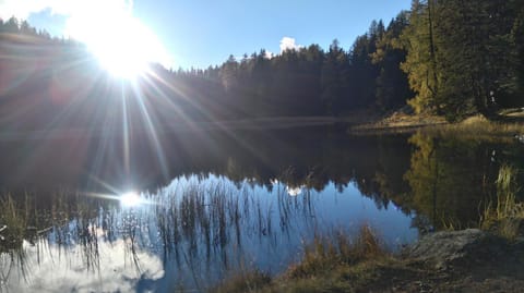 Nearby landmark, Lake view