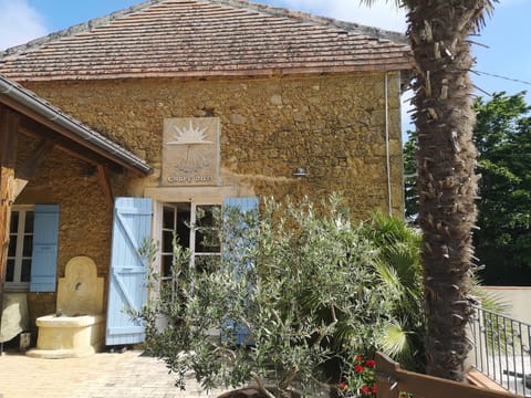 Property building, Garden, Garden view