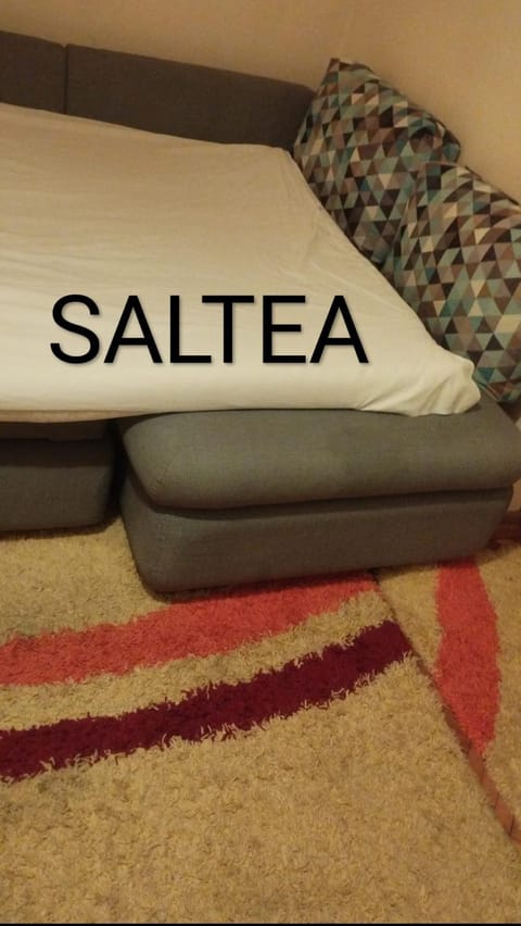 Alex Center Apartment Apartment in Timisoara