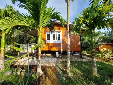 Property building, Day, Garden, Garden view