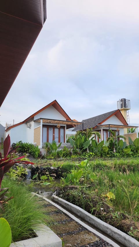Property building, Garden, Garden view