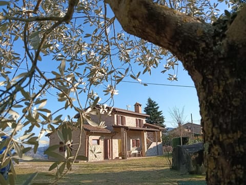 Property building, Garden, Garden view
