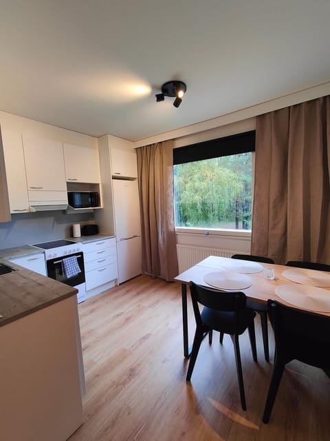 Kitchen or kitchenette, Dining area, oven, stove