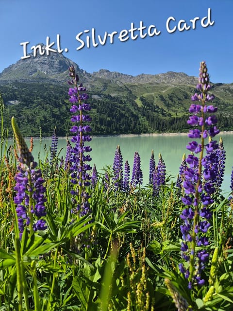 Nearby landmark, Natural landscape, Text overlay, Lake view, Mountain view
