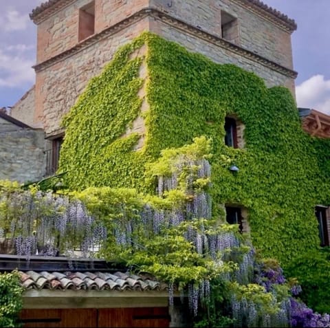 Property building, Spring, Day