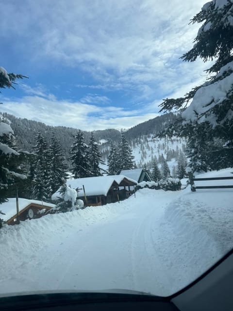 Almhütte Tamberger in der Feldpann-Alm House in Carinthia, Austria
