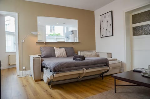 Centre ville, WIFI, Gare 600m, Prox Lille, Lit King size Apartment in Flanders