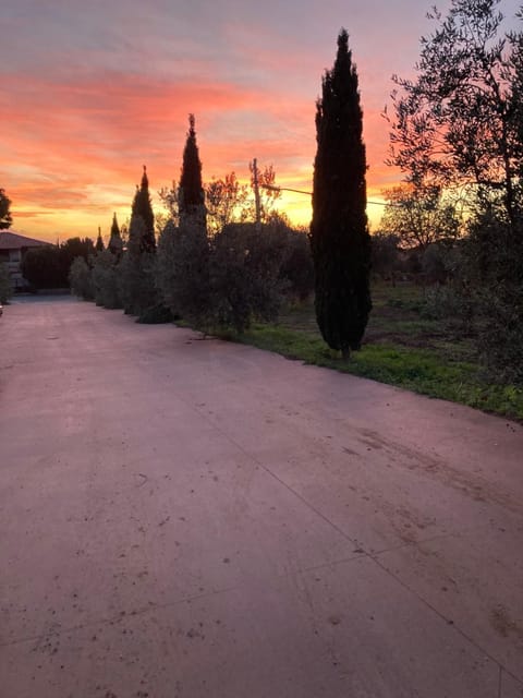 dalla campagna al mare Apartment in Campiglia Marittima