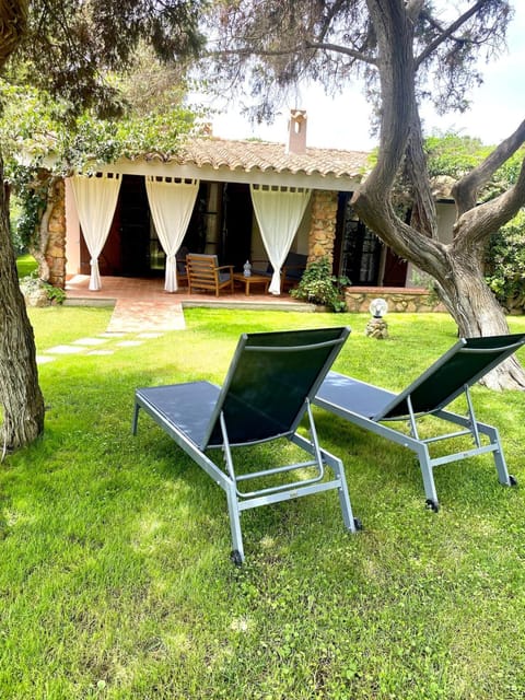 Patio, Day, Garden view