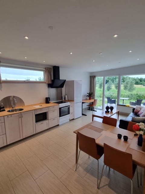Kitchen or kitchenette, Living room, Dining area, oven, stove, toaster
