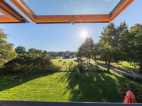 Butterblume DG Apartment in Röbel