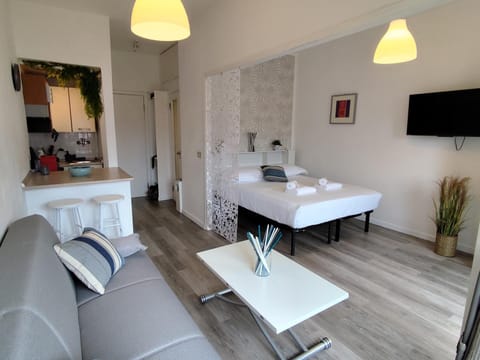Bed, TV and multimedia, Kitchen or kitchenette, Photo of the whole room, Seating area, Dining area