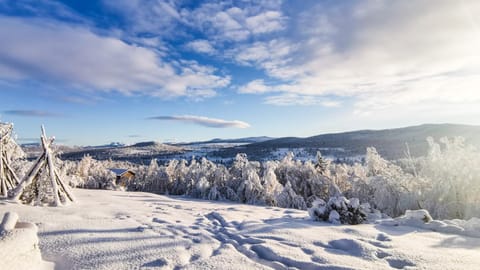 Day, Natural landscape, Winter, Garden, Mountain view