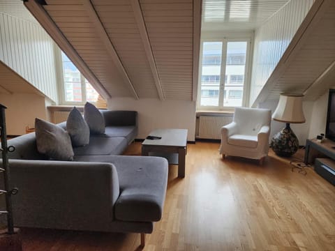 Casa Jean-Jacques Rousseau Apartment in Canton of Bern (Region)