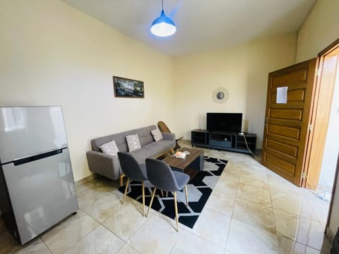 Communal lounge/ TV room, TV and multimedia, Kitchen or kitchenette, Living room, Seating area, oven